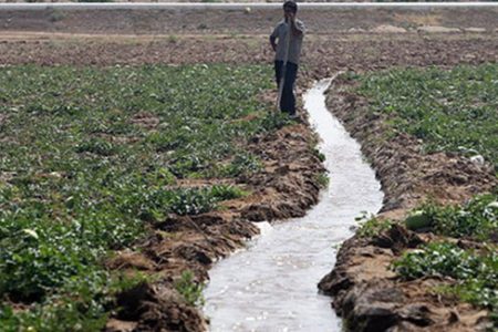مشکل آب کشاورزان باوی تا ۸ روز آینده حل می‌شود