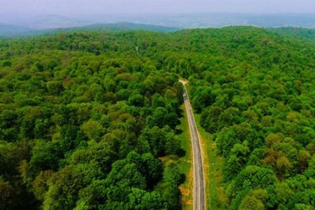 ۱۷۰ هکتار طرح جنگل کاری مشارکتی اقتصادی در خراسان شمالی اجرا می‌شود