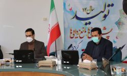 دهه فجر ۱۲ پروژه برقی در فارس و بوشهر افتتاح می‌شود