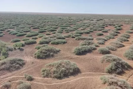 صاحبان صنایع باید مکلف به احیا خاک شوند