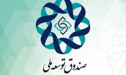 توضیحاتی درباره نحوه سرمایه‌گذاری صندوق توسعه ملی