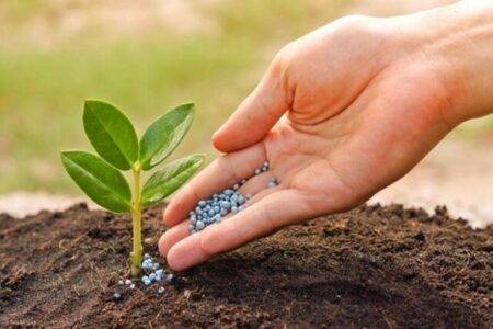 افتخاری دیگر برای دانش‌بنیان‌های ایرانی