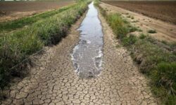 فارس در مسیر عبور از بحران کم‌آبی